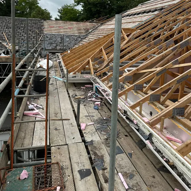 New roof timbers going up on a house, seen from the scaffold boards along the eaves, with trees behind